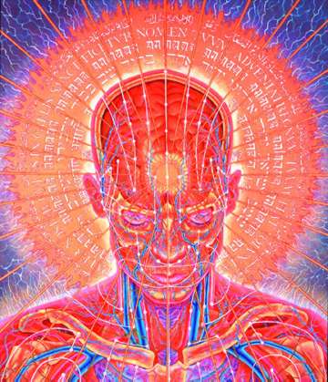 images alex grey wallpaper. alex grey wallpaper. images alex grey wallpaper.
