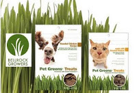 Free Pet Greens Treats