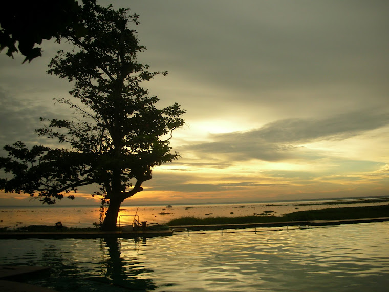 back waters of Kerela...(snap shot)