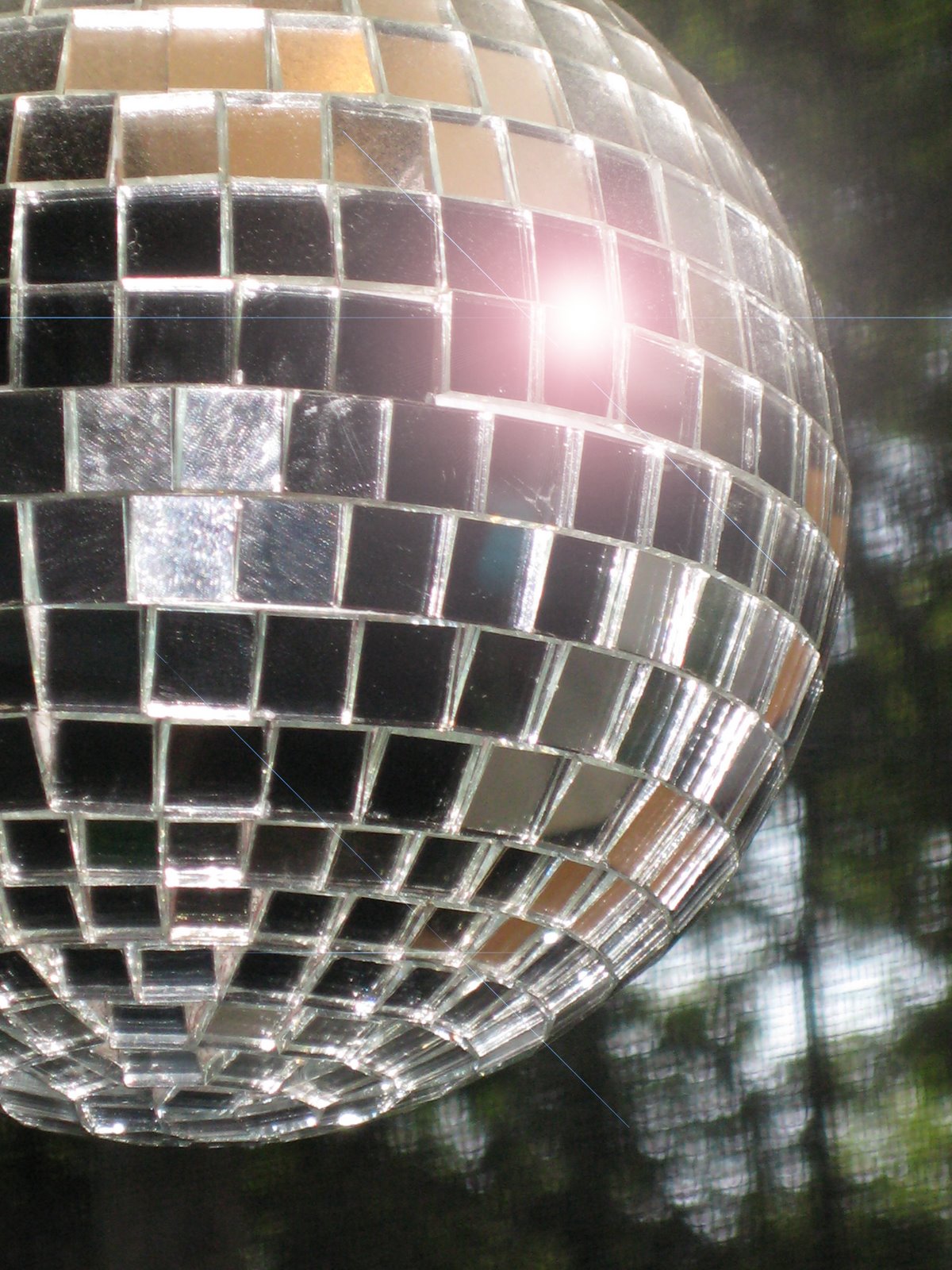 [disco.jpg]