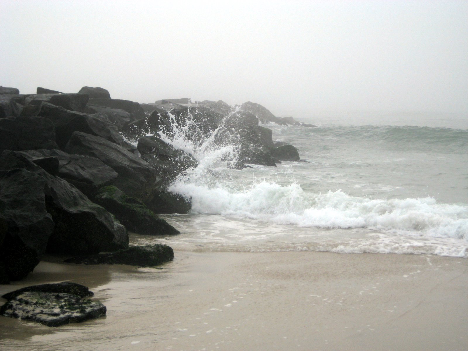 [IMG_4729.JPG]