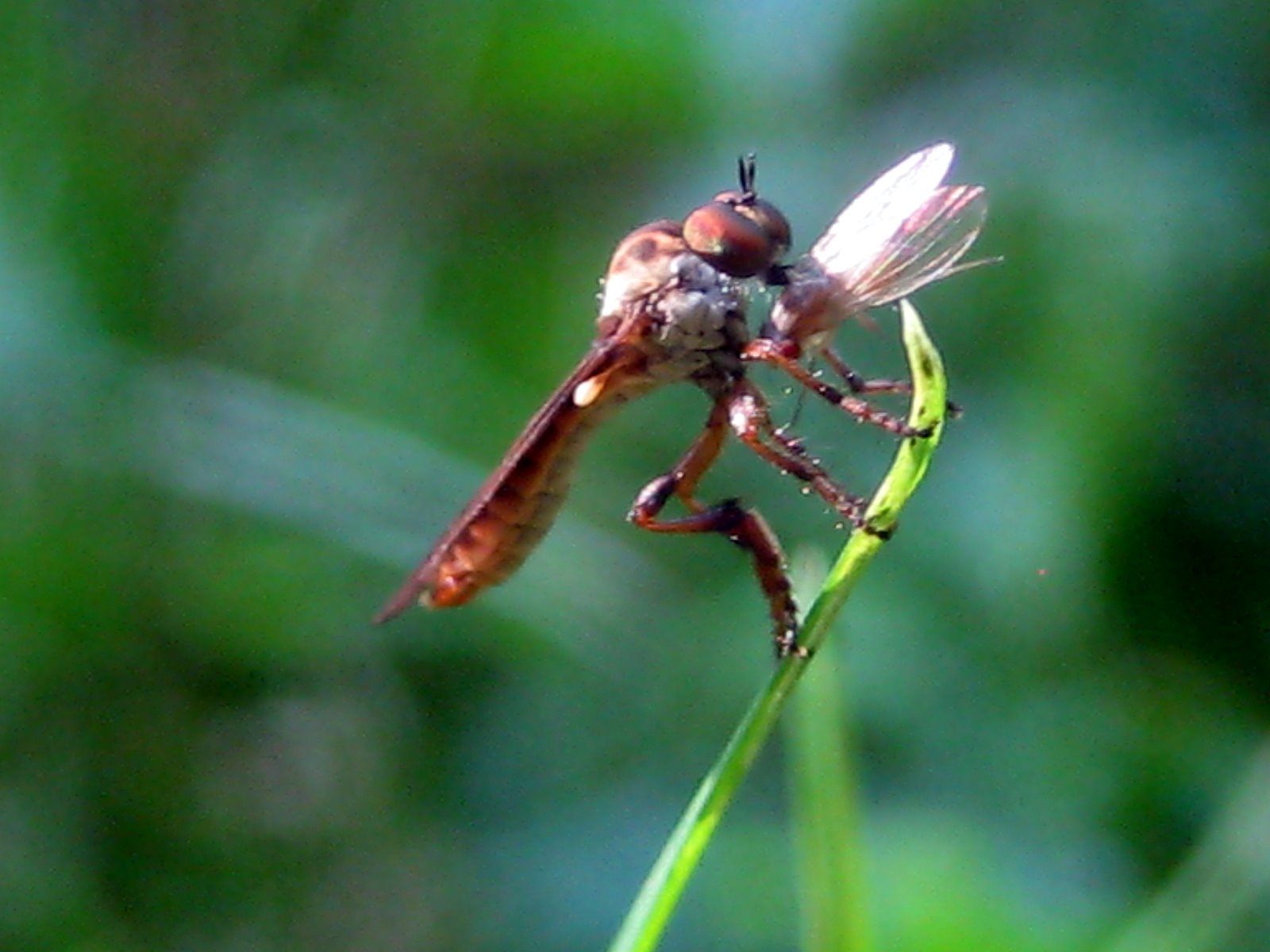 [IMG_7839.JPG]