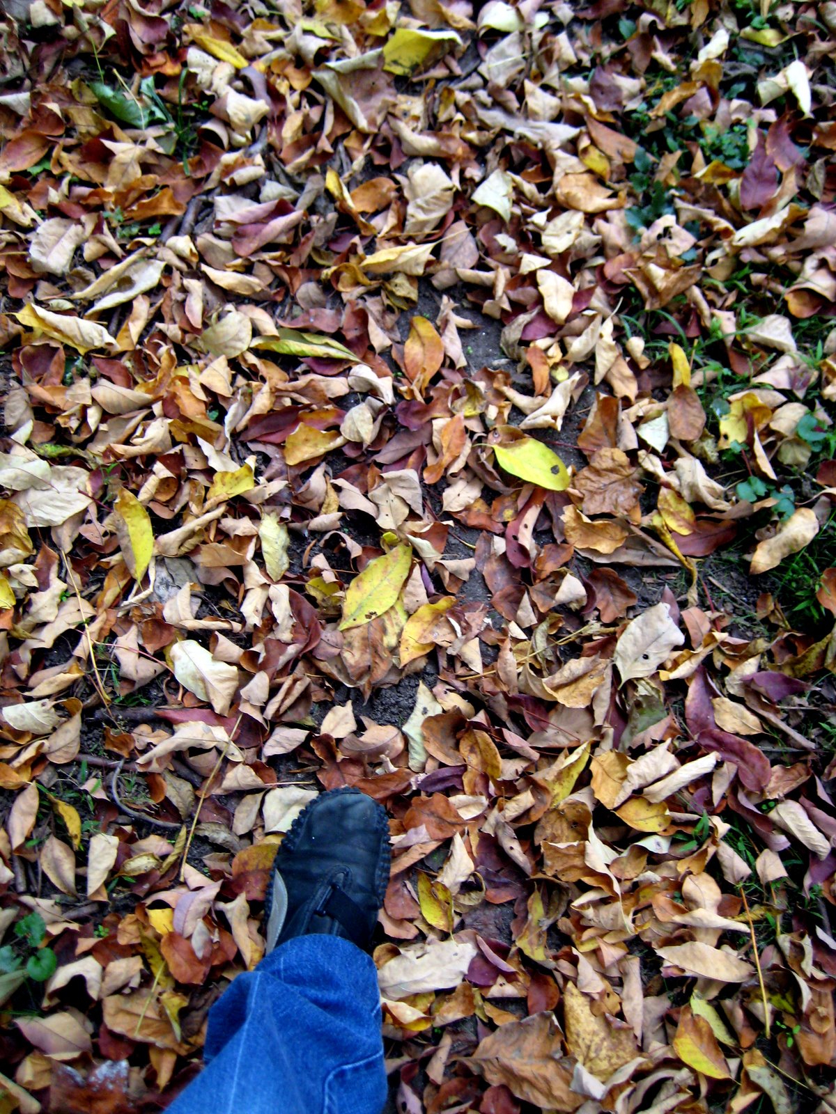 [IMG_8170.JPG]