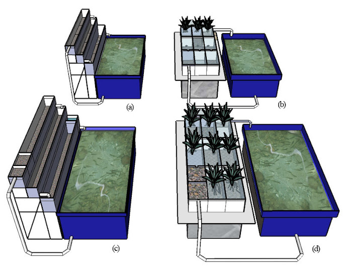 Urban Aquaculture (akuakultur untuk daerah perkotaan)