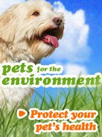 www.petsfortheenvironment.org