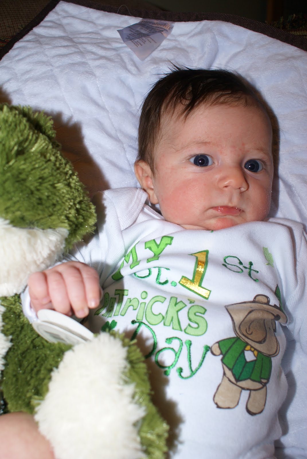 [Copy+of+DSC00193.JPG]