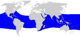 Distribuição geográfica