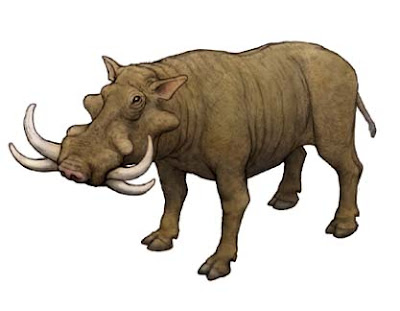 Giant Warthog - Metridiochoerus spp. - Carnivora