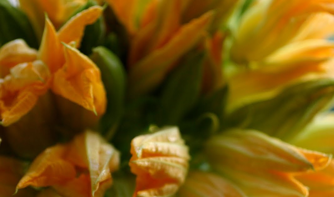 The Art of Food Fresh Ricotta Stuffed Squash Blossoms