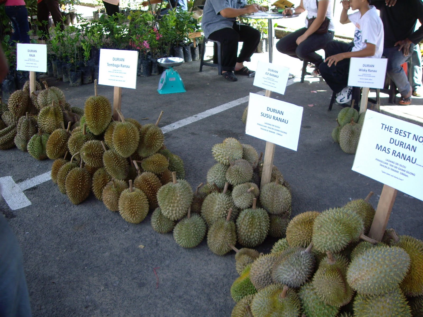 [IMGP0889.JPG]