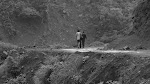 In Search of an Answer