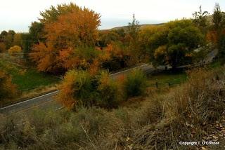 Away from the city, Boise fall foliage continues to appeal to leaf-peepers
