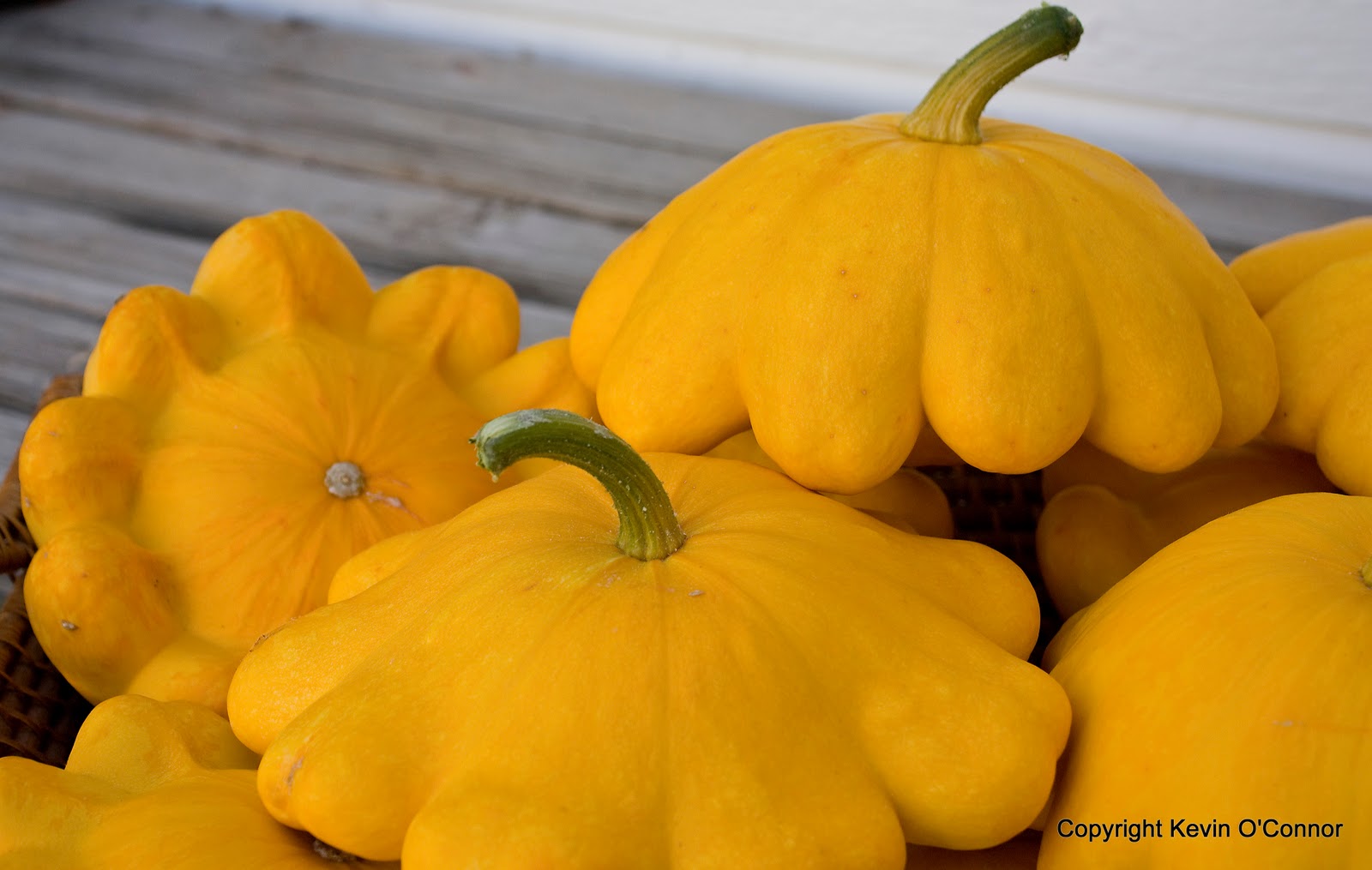 Seasonal Wisdom: Pattison Golden Marbre Scallop Squash for Summer and