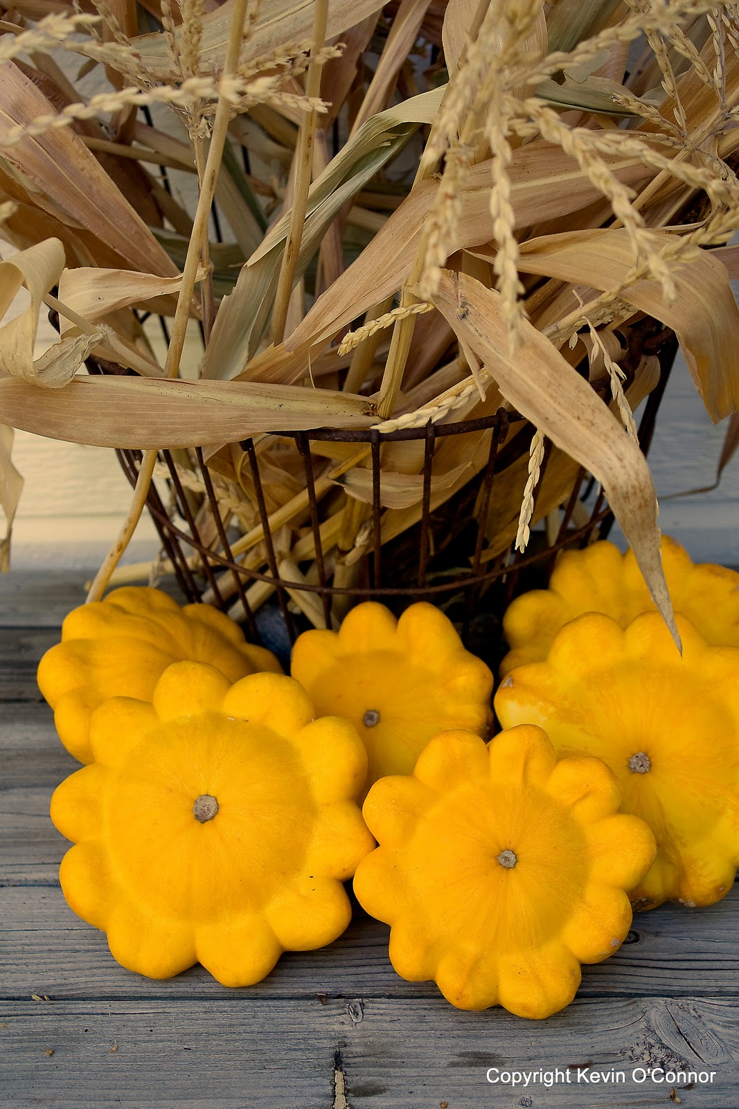 Seasonal Wisdom: Pattison Golden Marbre Scallop Squash for Summer and