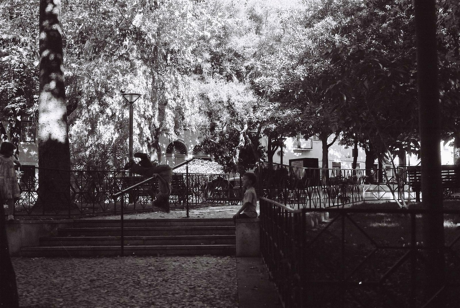 [F1000023.JPG]