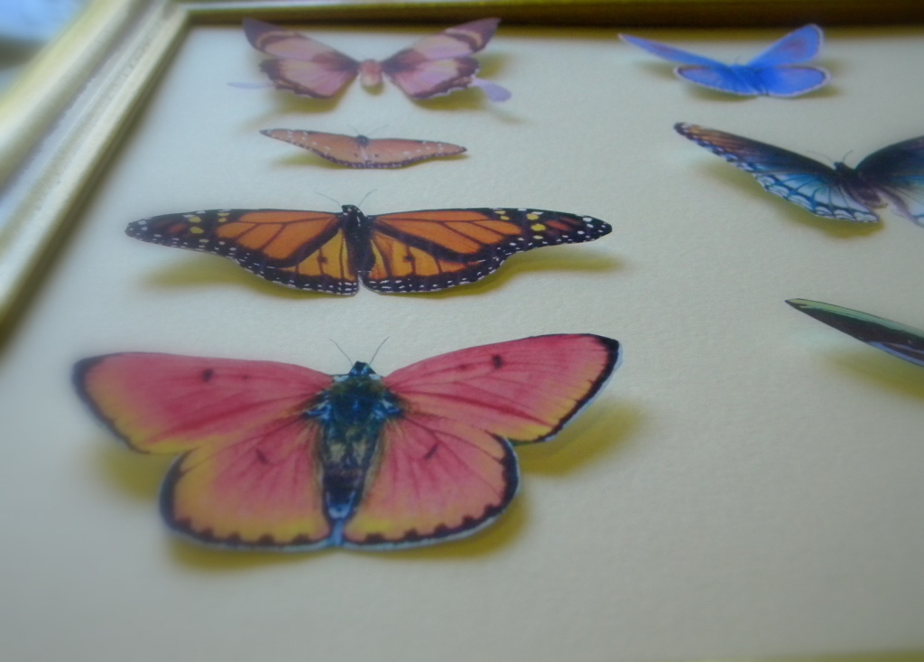 Butterfly wings drawing picture