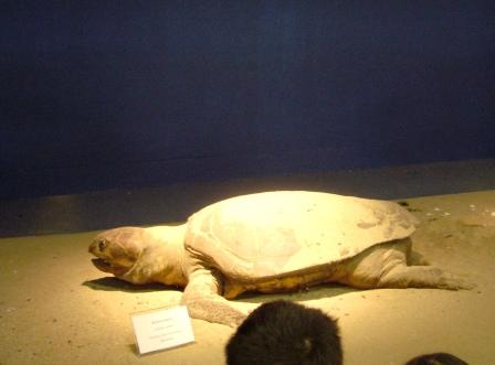 [γγγγγγ+065.jpg]