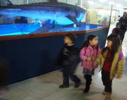 [γγγγγγ+073.jpg]