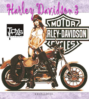 cross stitch harley davidson