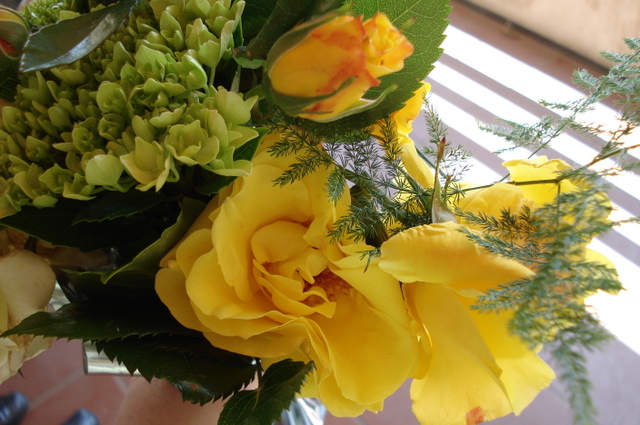 [DSC01017.JPG]