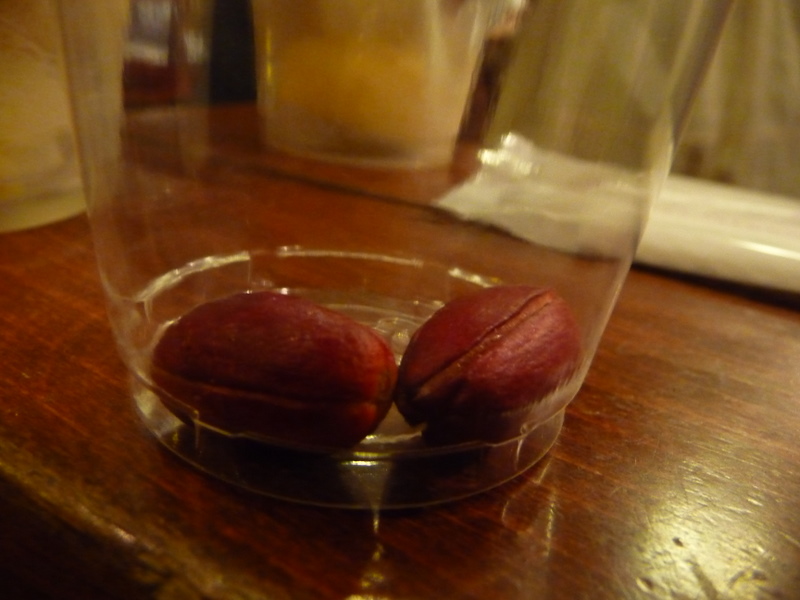 Miracle Fruits Cafe, Ikebukuro Tokyo Restaurants