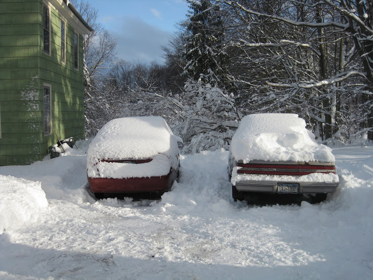 My house, our cars