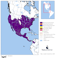 Distribución