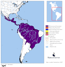 Distribución