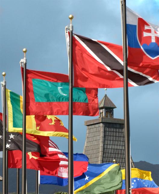 [Flags_preview.jpg]