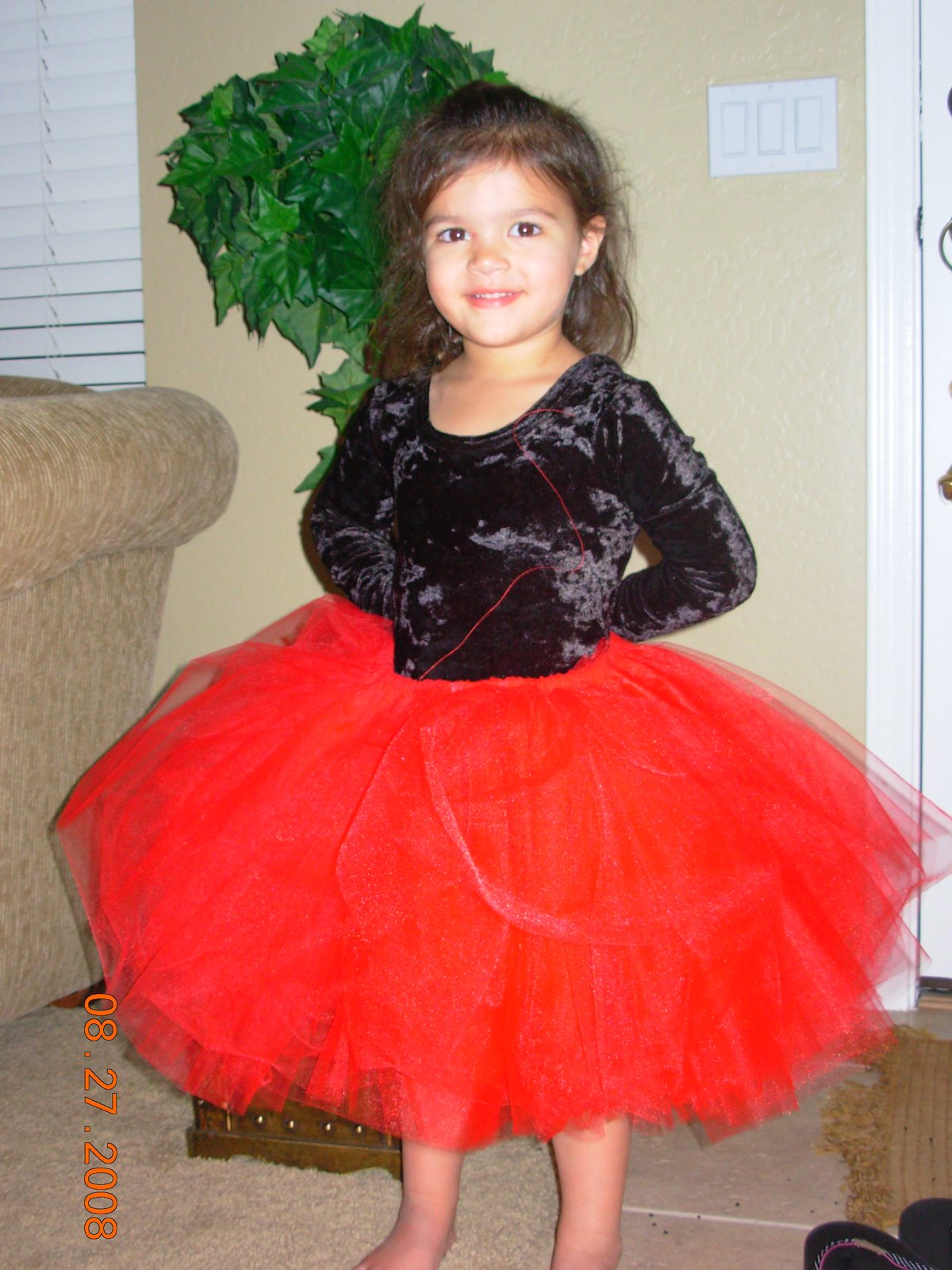 [Ladybug+in+the+making.JPG]