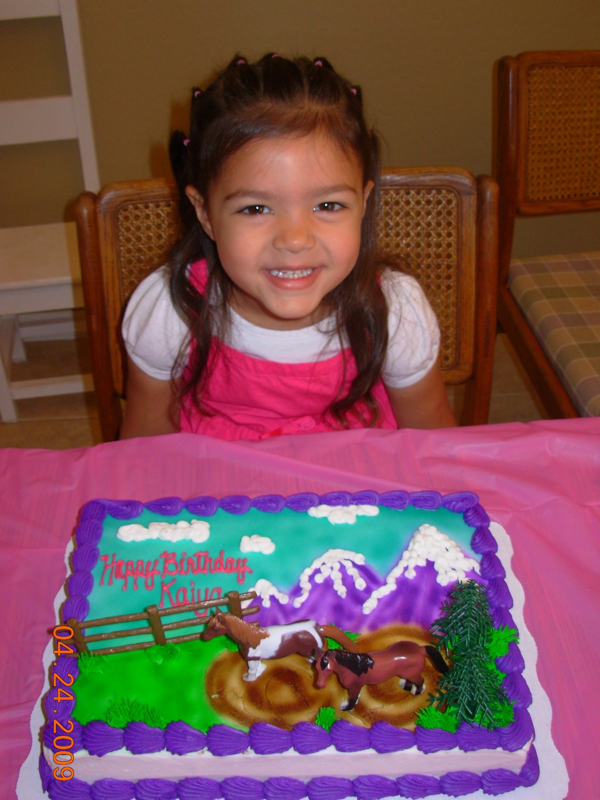 [DSCN5294.JPG]