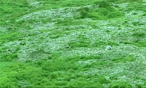 [evergreen-video-art-stills-M-Akbar1.jpg]