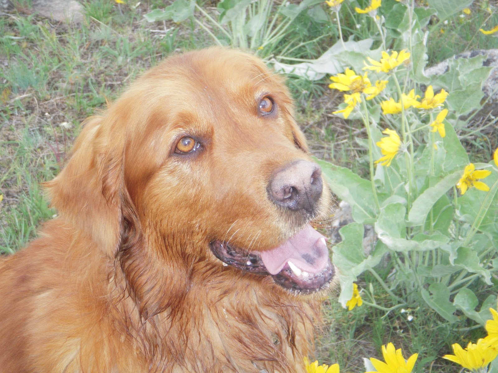 [track+end+of+year+042.JPG]