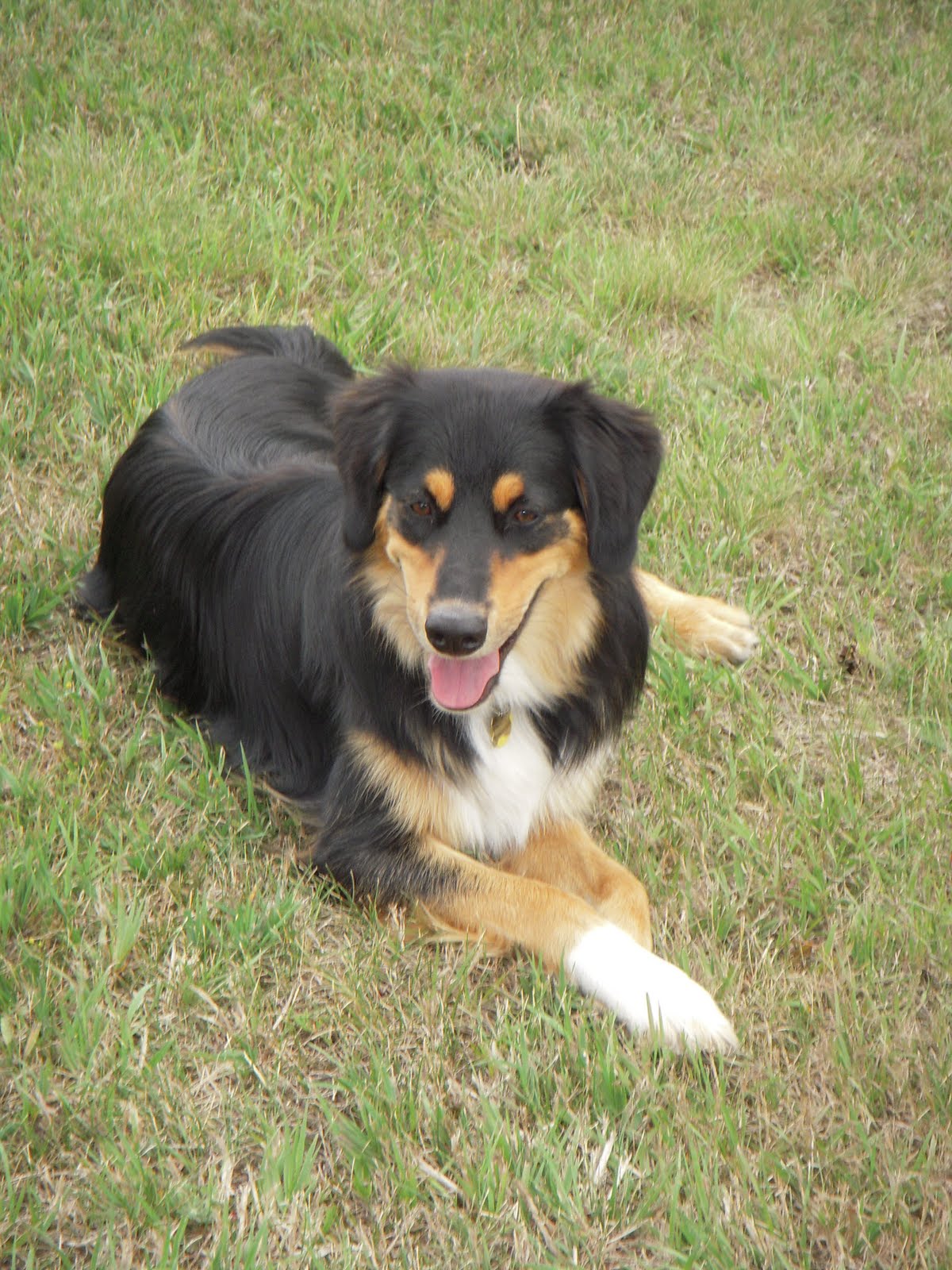 [August_2009_015.JPG]