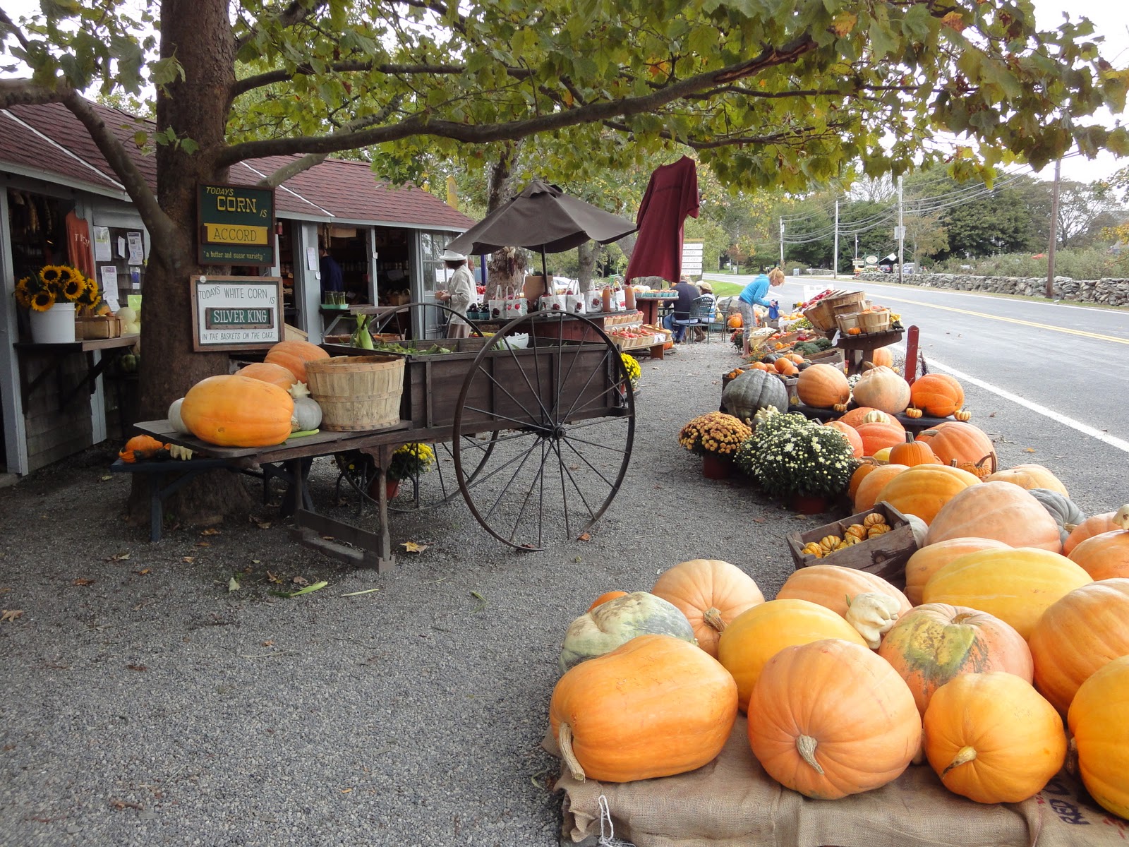 Rhode Island is my Oyster This Weekend Visit Walker's Roadside Stand