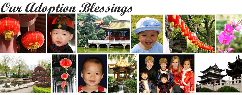 Our Adoption Blessings