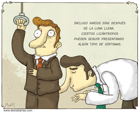 Montt Montt