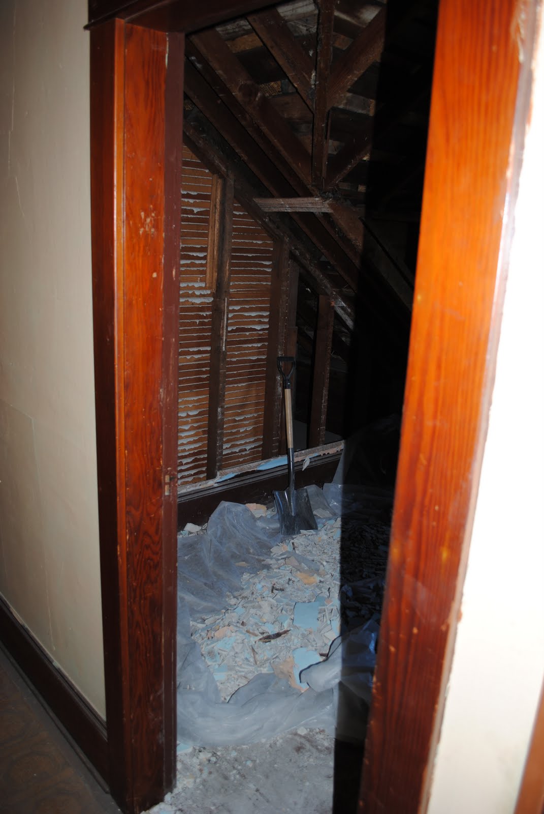 Loftis Manor Adventures: Scary scary basement pictures