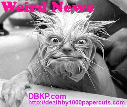 [WeirdNews1.JPG]