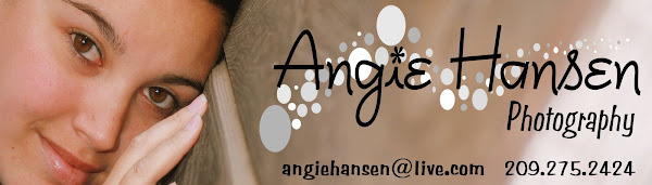 Angie Hansen Photography