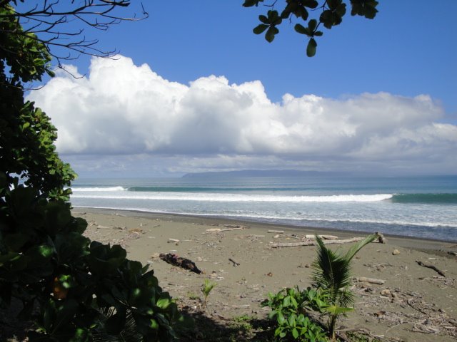 [DSC00564.JPG]