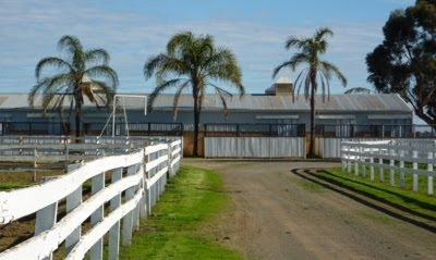 farnham john house horse lists celebrity his stud