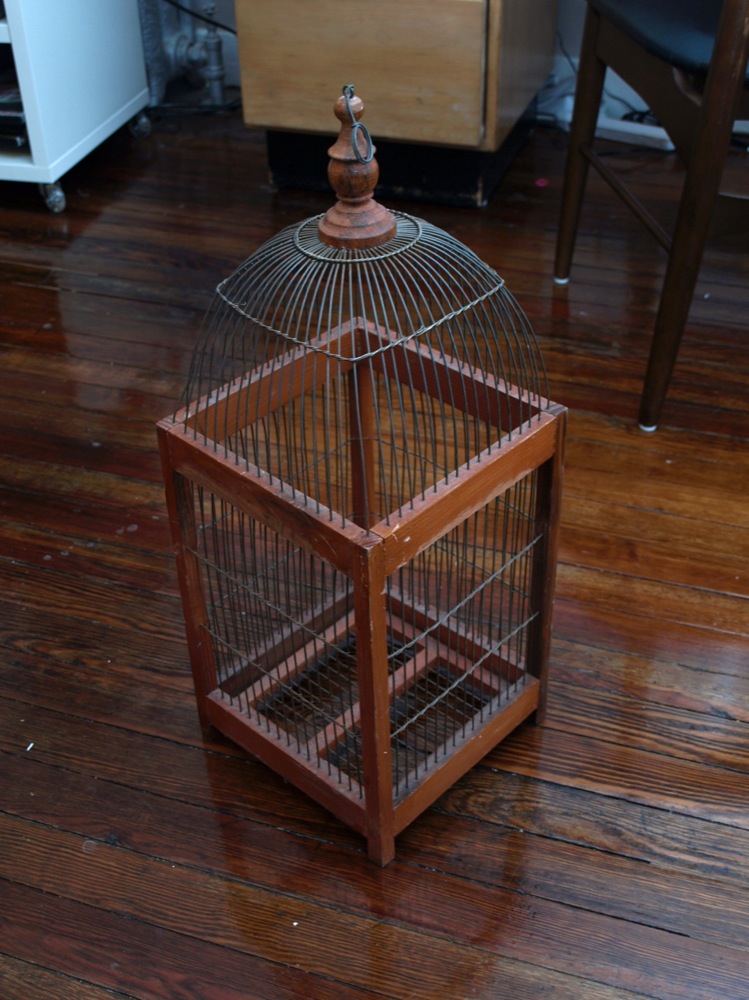 [P9295289sml.JPG]