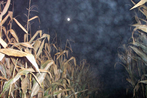 [corn_moon.jpg]
