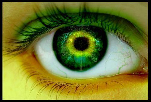 [ojos-verdes.jpg]