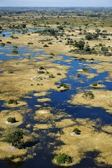 Okavango delta