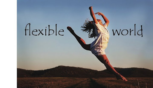 Flexible World