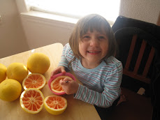 GRAPEFRUIT DIET!