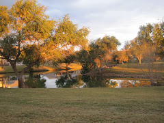 The lake behind our house