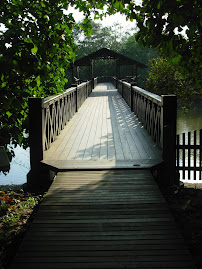 Wooden Bridge